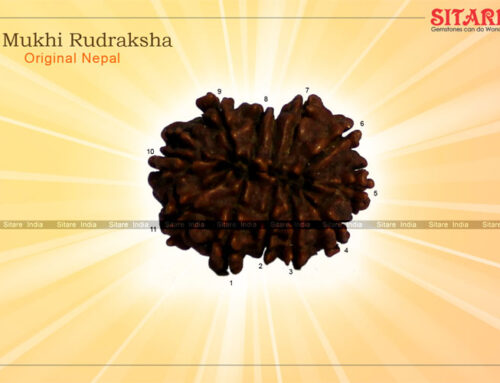 Benefits of 11 ( Eleven ) Mukhi Rudraksha